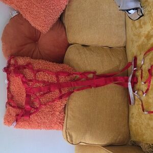 *today only* Red strapped lingerie *never worn